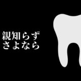 親知らず さよなら