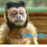 毎日同じことの繰り返しが実は人間らしさである。ルーティンを取り入れよう。 つまんねーなー 1