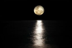 睡眠の質を上げるためにとるべき、朝・昼・夜の行動。  moon g0b3c01cc5 640